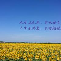 女生朋友圈晒奶茶的文案小姐妹一起喝奶茶说说