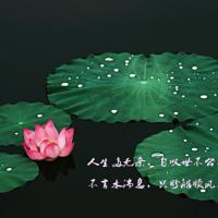 想爱不敢爱的经典语句 想爱不敢爱的诗句有哪些？