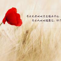 宁荣荣被唐三桶叫个不停小说 大陆农村丰满妇bbw