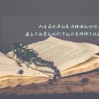 顶级诱捕公式abo|陈情令免费观看全集完整版在线观看