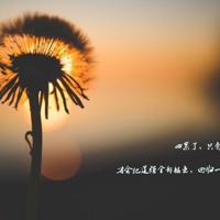 适合晚上一个人看的亏亏视频 后车座的疯狂 小说全文完整版