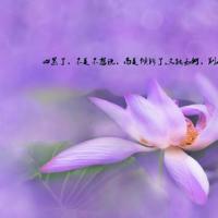 艳妇乳肉豪妇荡乳全文阅读 强开小娟嫩苞又嫩又紧