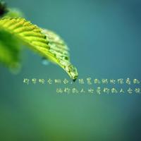 一丝不苟的反义词 不知道你就来看看!