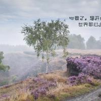 形容彩虹的优美句子