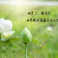 桃花视频在线观看免费完整版HD 深夜与她疯狂又刺激的性经历