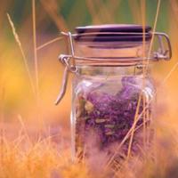 异常的近义词是什么 那些傻傻分不清楚的近义词