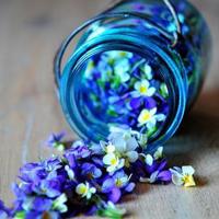 小舞被调教成性奴的黄文 小舞被催眠调教沦为肉奴小说