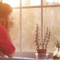 玩弄绝色高贵美妇 乱小说总目录