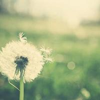 趴到床脱裙子内裤打屁股，（为什么男生喜欢弄到肚子上）