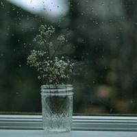 名侦探柯南名言