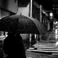 雨的诗句唯美 雨的诗句古诗夏天