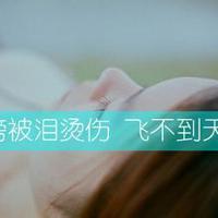 包含联盟的春天经典说说