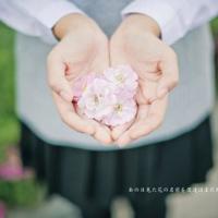 发朋友圈很有格调的一句话，让人一见倾心