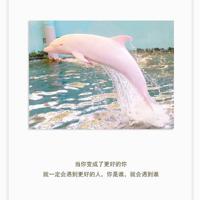 他的舌头弄得我爽水好多 睁开眼看着我怎么吸你的