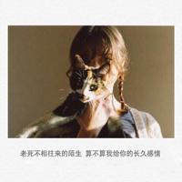 注定分手句子 关于形容命中注定另一半的句子