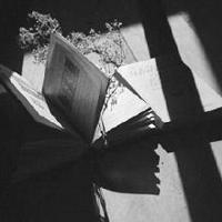 重生之都市仙尊洛尘,马蚤货你是不是欠c