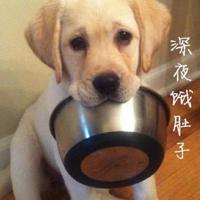 为什么女强人都很漂亮,为什么句子