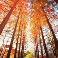 这段网恋不靠谱(1V1)  小说完整版