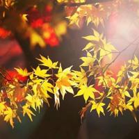 情侣个签一男一女简短