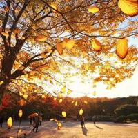 好句好段摘抄大全优美加作者加书名