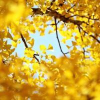 超甜的爱情语录 甜蜜爱情短句