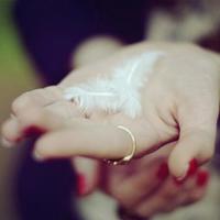 创业的艰辛经典语录