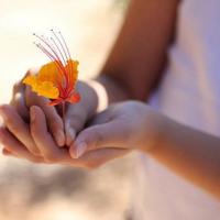 无法到场的婚礼祝福语