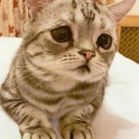 形容大海美丽的句子