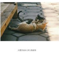 描写春雨的古诗大全