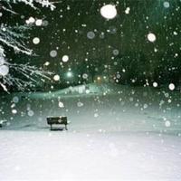 关于讽刺人的经典语句不带脏字29句