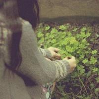 祝父亲生日快乐的诗句