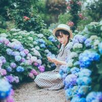 迈开腿让我尝尝你的扇贝漫画,狍子肉