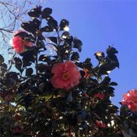 个性说说2020最新版搞笑幽默