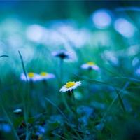 半夜被口醒是一种什么样的感受*（我把五个攻都始乱终弃了）