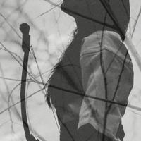 关于形容速度快的句子大全