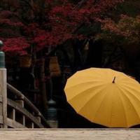 莫言励志名言名句经典