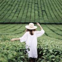 企业文化建设的标语