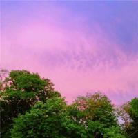 爱你爱的很卑微的句子 表达爱一个人很卑微的句子