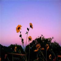 女人高情商的句子 高情商的女人怎样说话