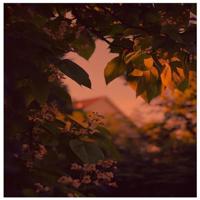 小舞好紧好爽再搔一点*（宝宝太紧了松一点会断的）