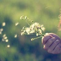 女员工的滋味、水氏杨花与十二轿夫1