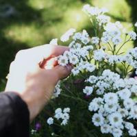 十分钟高清免费视频www 伪兄妹男主伪禁欲占有欲强小说