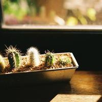 相濡以沫的爱情唯美句子