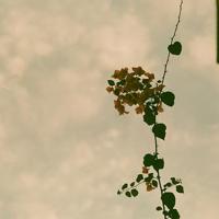 一句话微博心情说说