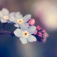 qq个性签名唯美简短