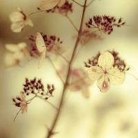 鼓励人坚持的句子 鼓励人坚持锻炼的句子