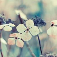 裙子撩高趴好 女生勿进进了必湿短文