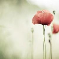 抖音朋友圈说说