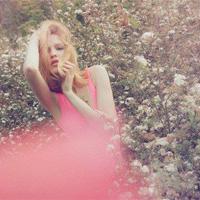 关于东野圭吾《麒麟之翼》经典语录汇总