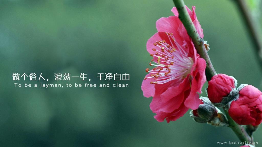 2012高清国语版免费观看视频：生日短句8个字暖心